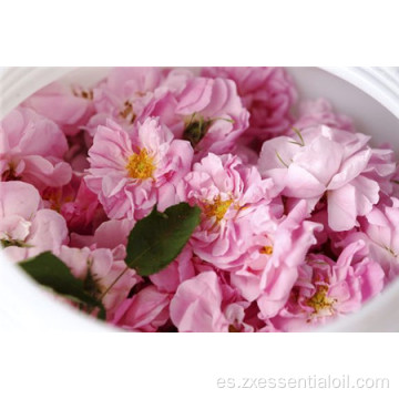 Aceite esencial de rosa damasco 100% puro de suministro de fábrica